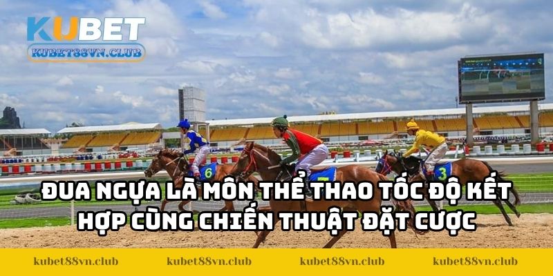 Đua ngựa là môn thể thao tốc độ kết hợp cùng chiến thuật đặt cược